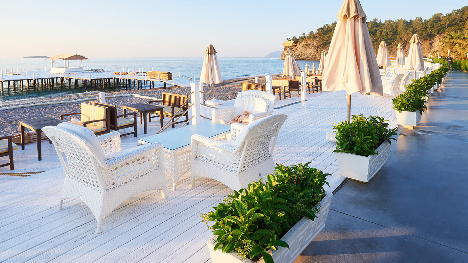 Social Media Management